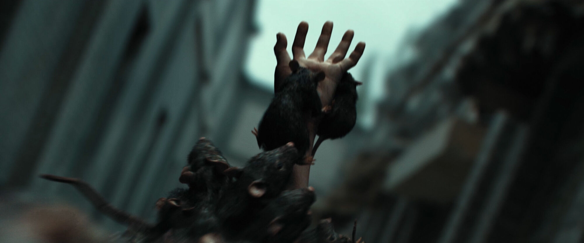 Scene Image 2
