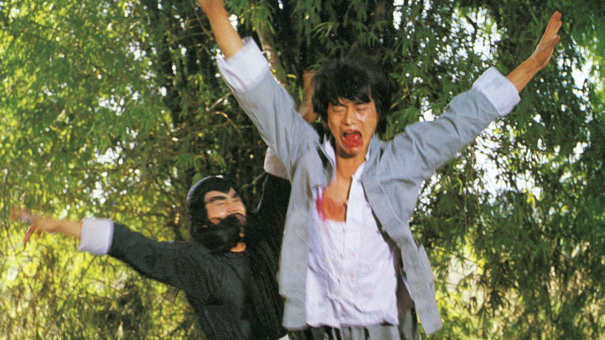 Scene Image 7